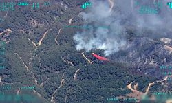 İHA'lar 3 bin 55 orman yangınını tespit etti