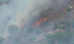 İsrail'in Lübnan'ın güneyine fosfor bombasıyla düzenlediği saldırı yangınlara neden oldu