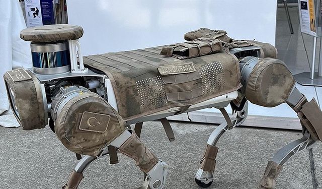 Robot köpek Keçi dağlarda Mehmetçik'e siper oluyor